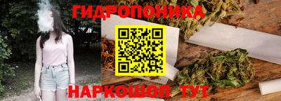 jwh Лесосибирск