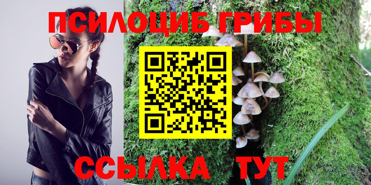 Галлюциногенные грибы Psilocybine cubensis  Вход с VPN  цены   Южноуральск 