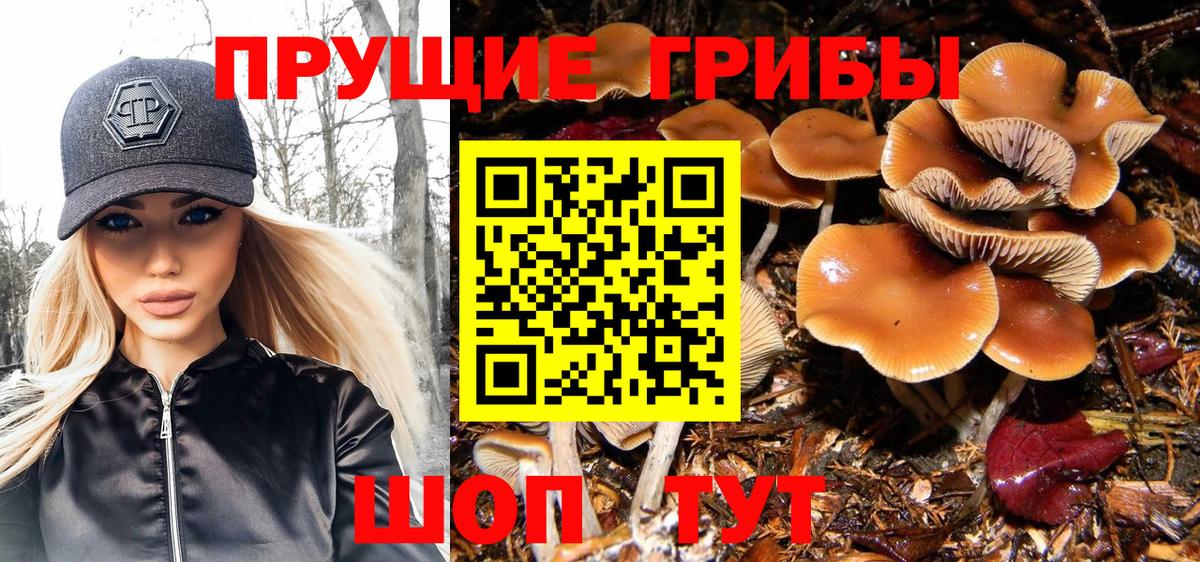 Галлюциногенные грибы мицелий Южноуральск